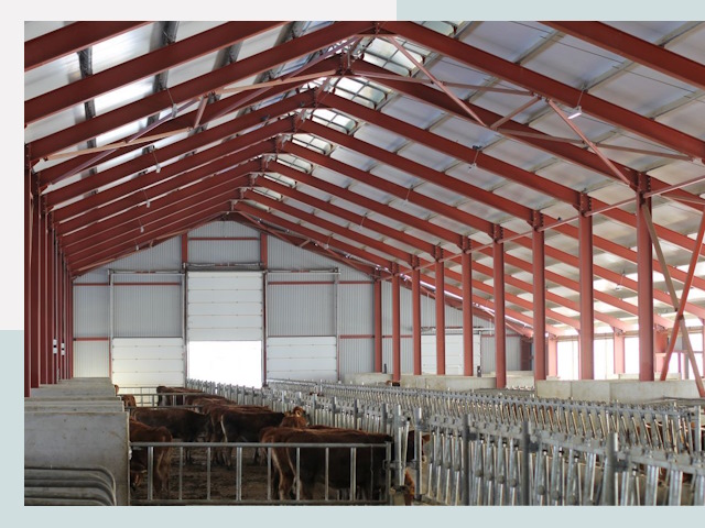 Строительство коровников в Луховицах