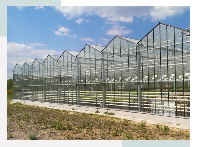 Строительство теплиц в Луховицы от 621 руб. за м²