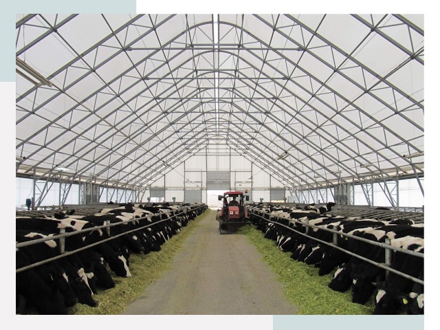 Тентовые коровники в Луховицах от 621 руб. - Надежно и доступно