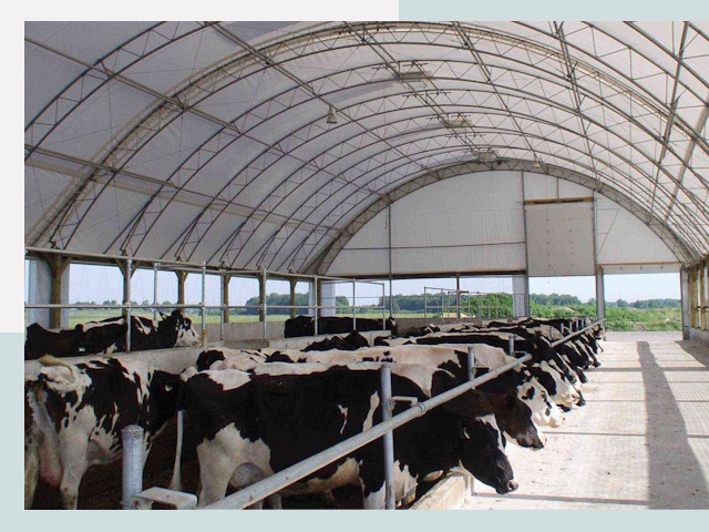 Тентовые коровники в Луховицах